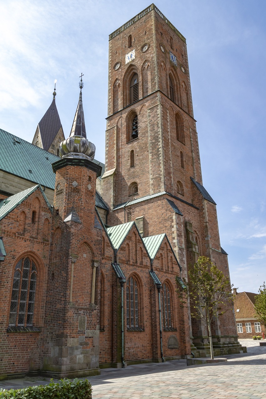 Ribe